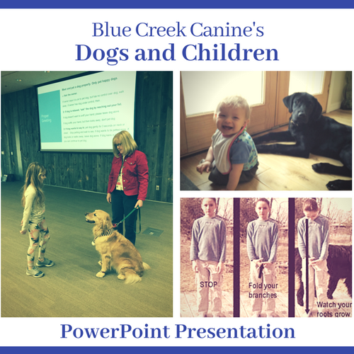 powerpoint about dogs